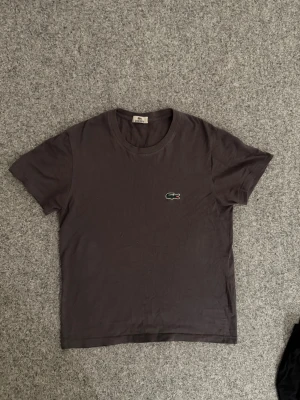 Lacoste dark gray T shirt - Size M. Brand new