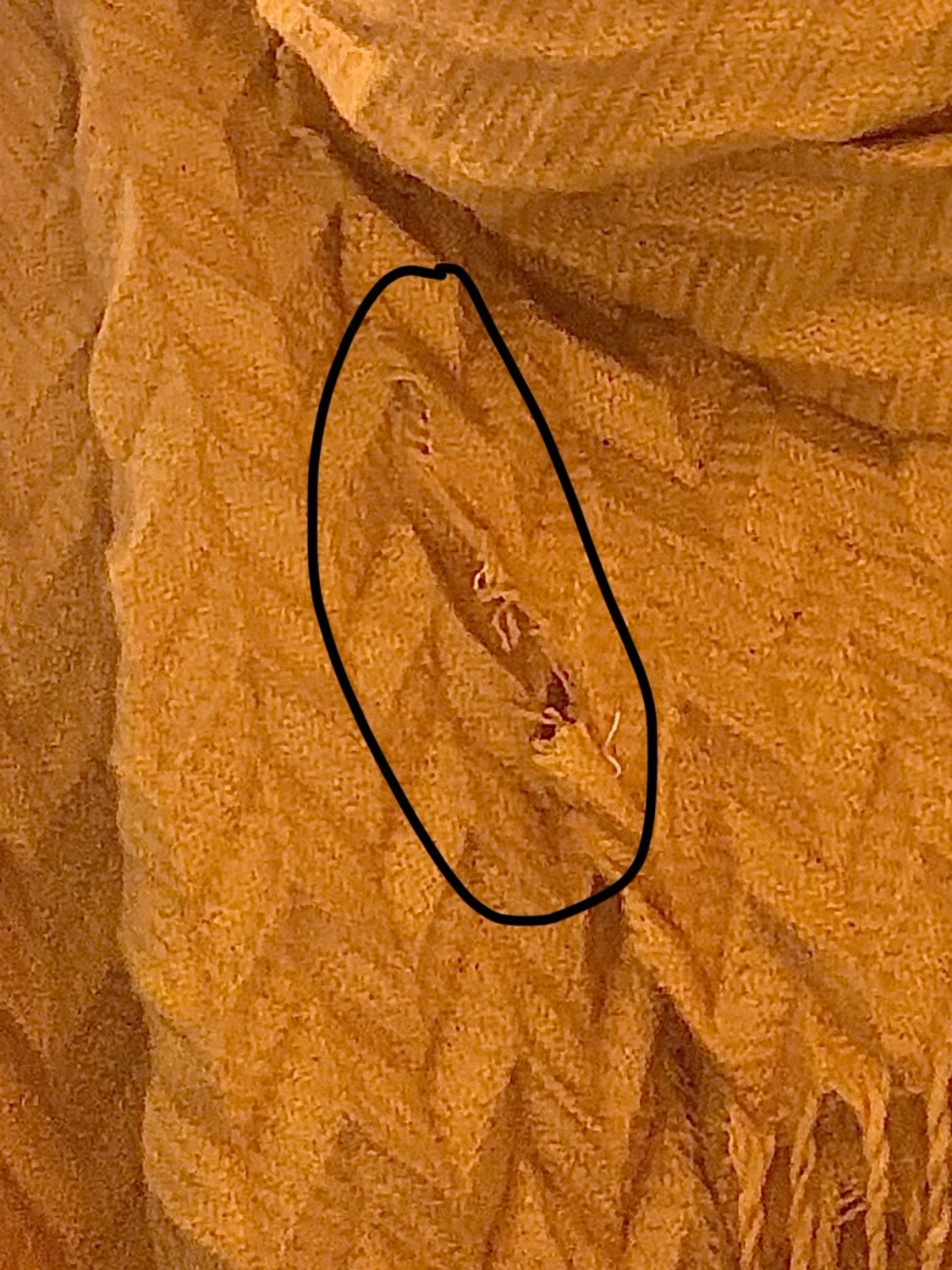 Senapsgul halsduk - 1