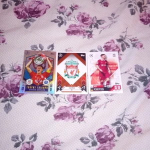 Match Attax Liverpool FC Trading Cards - Samling med tre Match Attax-kort från Liverpool FC, inklusive Steven Gerrard och Andy Robertson. Perfekt för unga fotbollsfans och samlare som vill ha coola spelarkort från Champions League. Snygg design och officiella klubbmärken.