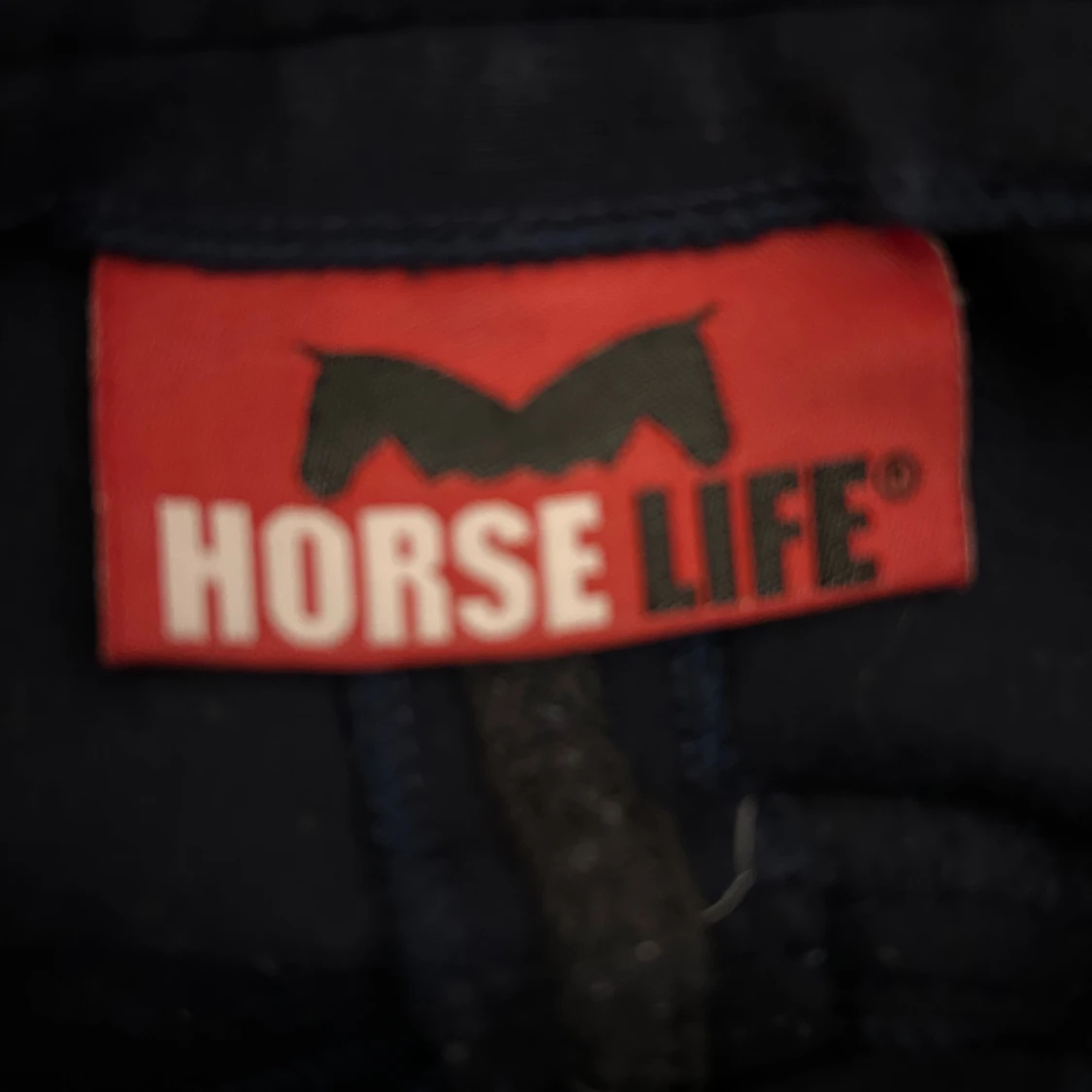 Svarta ridbyxor från Horse Life - 3