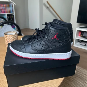 Jordan Accrss skor - Helt nya och helt oanvända storlek 42
