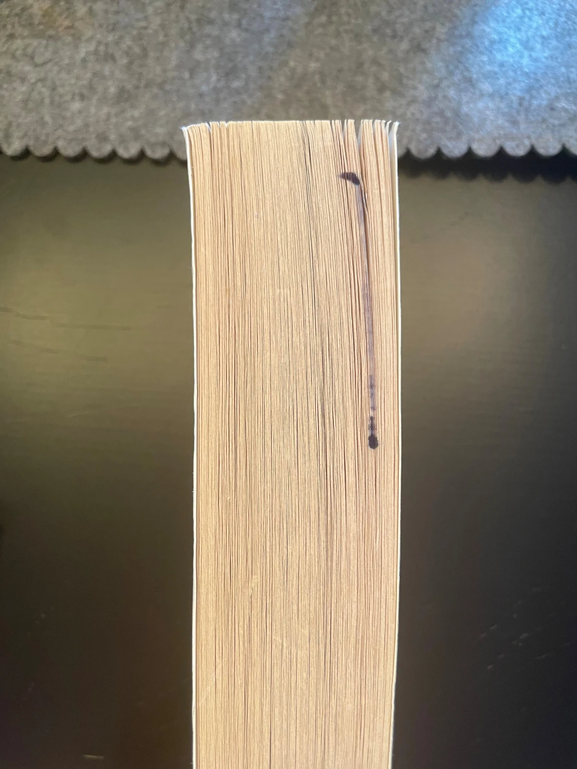 Things We Never Got Over av Lucy score - 1