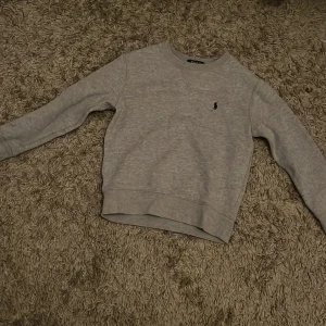 Grå sweatshirt från Polo Ralph Lauren - En stilren grå sweatshirt från Polo Ralph Lauren med klassisk rund hals och broderad logga på bröstet. Tröjan har långa ärmar och ribbade muddar vid ärmslut och nederkant. Perfekt för en chill och avslappnad look.