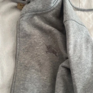 Burbery hoodie - Säljer en grå hoodie från burbery England 🏴󠁧󠁢󠁥󠁮󠁧󠁿 