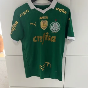 Grön Palmeiras fotbollströja Puma S - Säljer en officiell Palmeiras matchtröja från Puma i storlek S. Tröjan är grön med vita detaljer vid krage och ärmslut, samt guldtryck med sponsorloggor och spelarnamn Estêvão 41 på ryggen. Materialet är lätt och andas, perfekt för fotboll eller häng med polarna.
