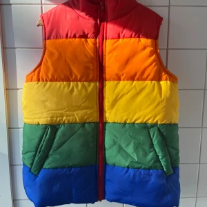 Färgglad väst från Daisy Street - Regnbågsfärgad väst från Daisy Street, inköpt på ASOS. Storlek 40. Löparen på dragkedjan har tappat lite färg, se tredje bilden. I övrigt fint skick! För mått se sista bilden. 