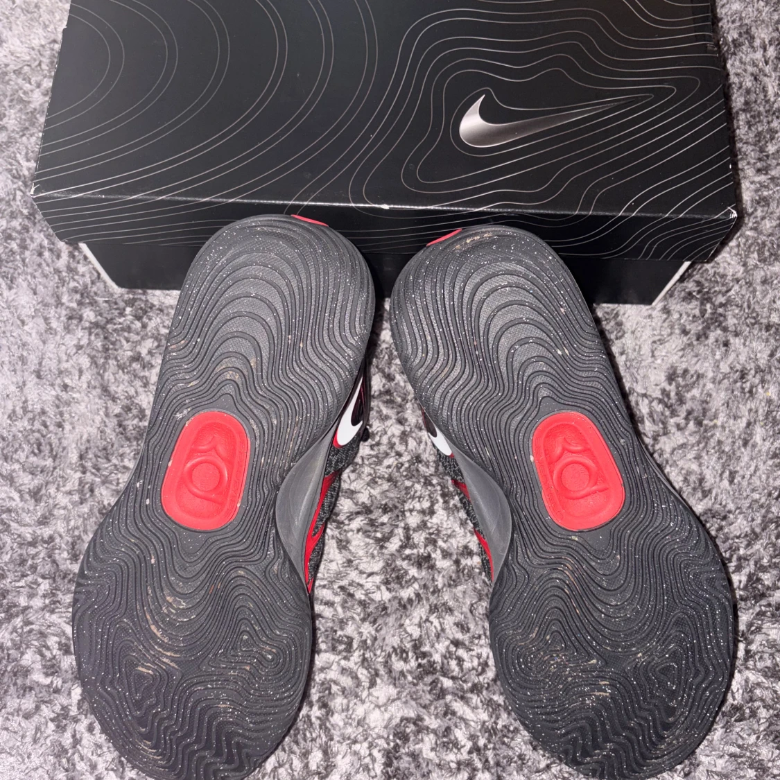 KD 17 bred - 2