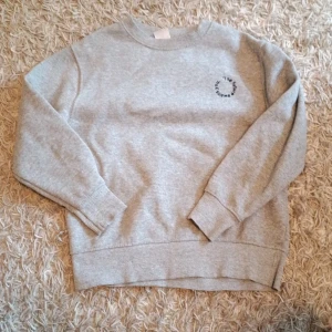Grå tröja från Zara med broderi - Grå tröja från Zara i storlek 140, med rund hals och ribbade muddar vid ärmslut och nederkant. På bröstet finns ett broderat svart textmotiv som bildar en cirkel med orden 'The future awaits you'. Perfekt för chill dagar.