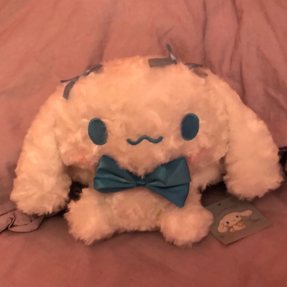 cinnamoroll plushie ❤️