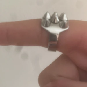 Edblads ring - En ring, ej vegansk