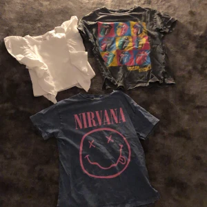 Zara T-shirts - Hej säljer zara t-shirts för 50kr st