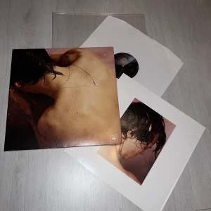 harry styles hs1 vinyl - ⚠️tryck inte på köp nu!⚠️(aldrig spelad så jag kan inte säga hur bra den låter eller om den har skips) -kan diskutera pris  -endast sveriges och endast swish  -tryck ej på köp nu, skriv till mig vid intresse :))