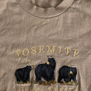 Brandy Melville tröja  - Säljer min oanvända tröja från brandy Melville. Frakten blir 59 kr och ingår inte i orginalpriset!  🫶🏼