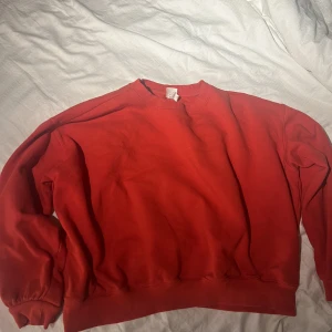 Sweatshirt  - Använd en gång och är inte nopprig eller nått sånt. Magtröja ungefär. Köparen betalar frakt 🌹