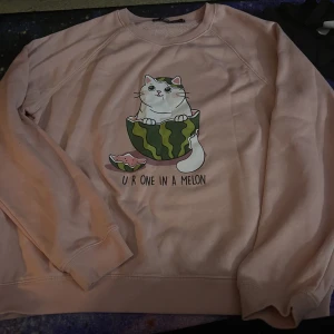 Tröja - Vattenmelons-katt tröja från newyorker. Lurvig på insidan 