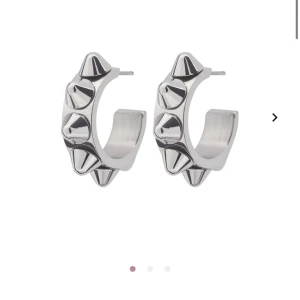 Edblad örhängen - Säljer dessa örhängen från Edblad som jag fick i somras. Endast använda drygt 5 gånger 