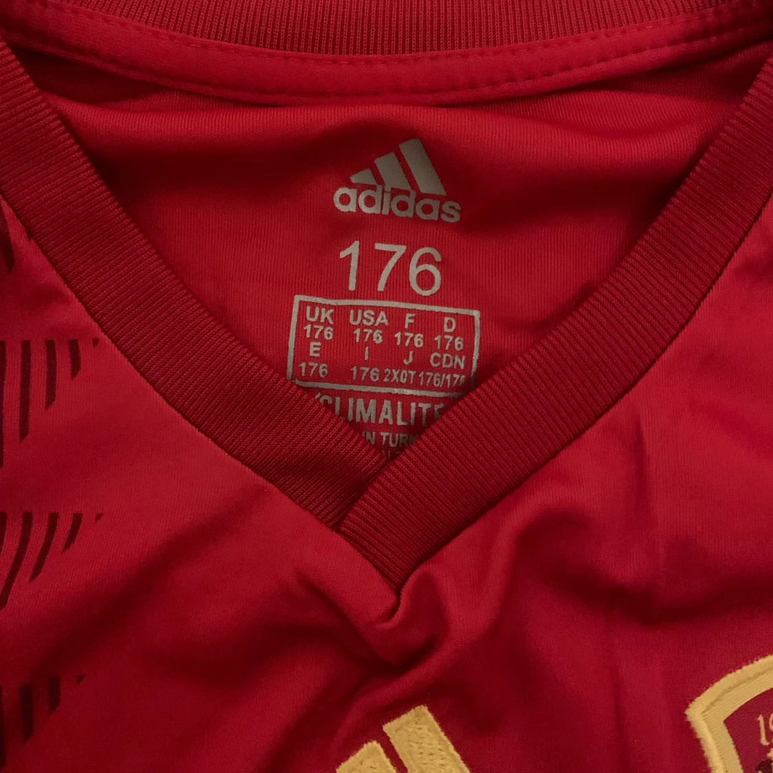 Spanien World cup Fotbolls tröja och shorts - 91