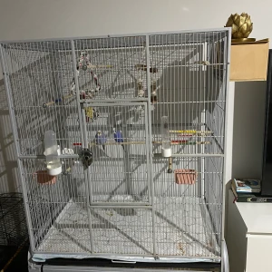 Fåglar  - Säljer de, mat,leksak och bur ingår i priset! (Prutning går bra )