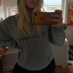 Champion Hoodie - Använd men i fint skick  