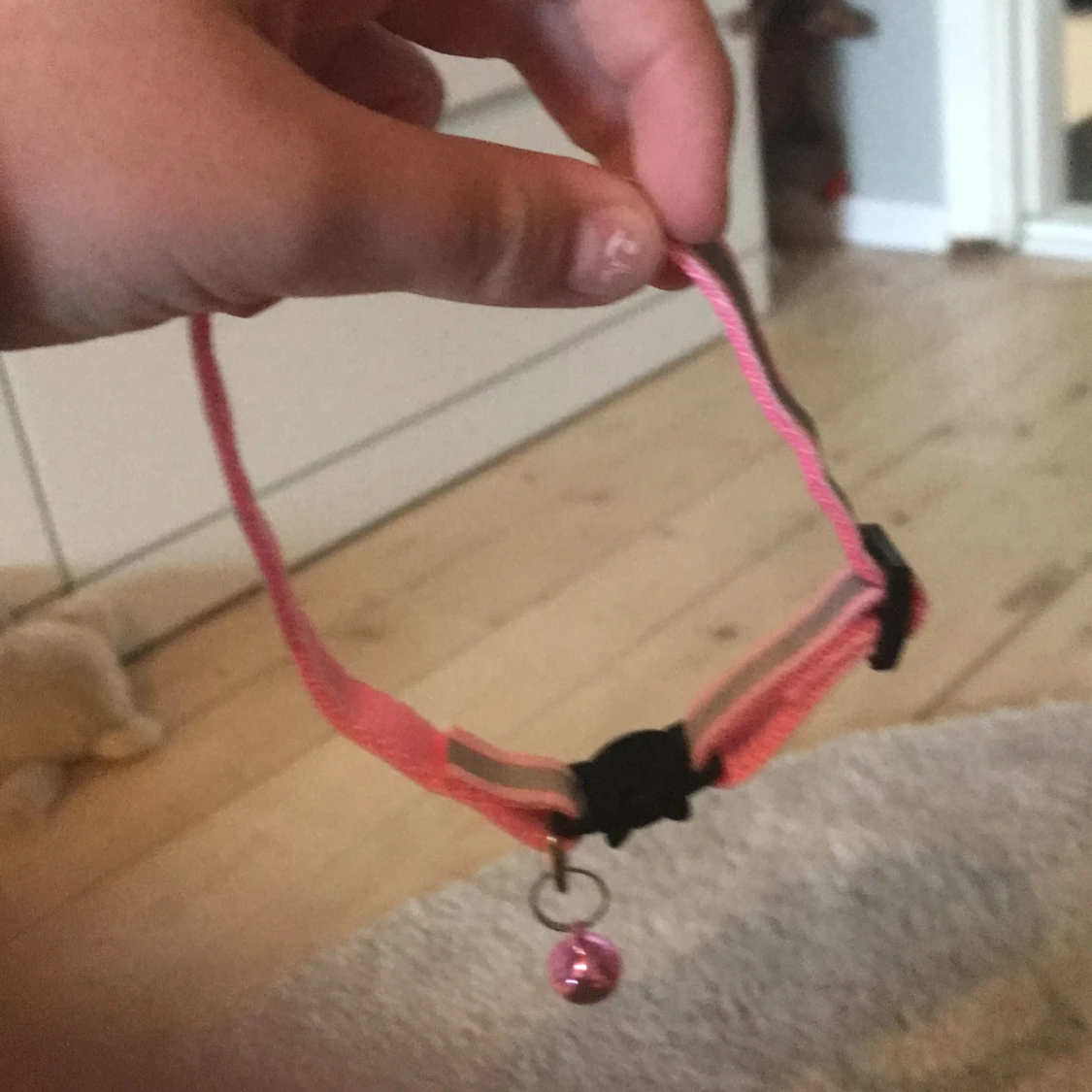 Helt nytt oanvändt rosa katthalsband - 90