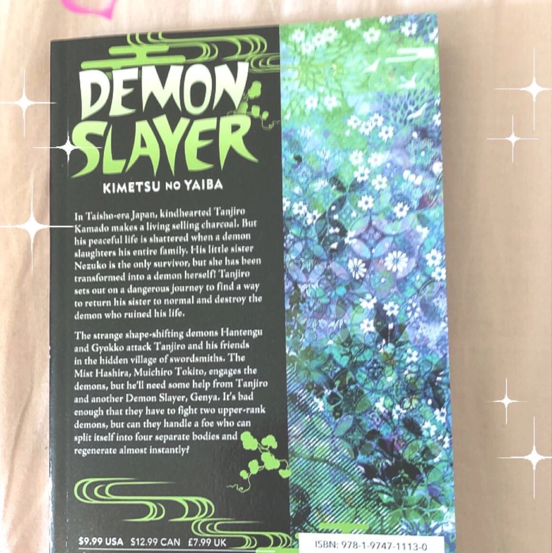 Dmeon slayer vol 13 (English) - 90