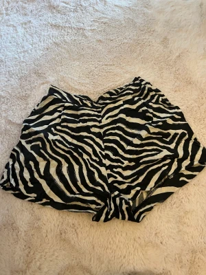 Zebrashorts - Shorts i fint skick