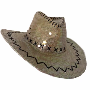 cowboyhatt med paljetter - typ den coolaste hatten jag någonsin ägt! en cowboyhatt i perfekt skick med coola sömmar och paljetter! den är lite mer rosa i verkligheten :)