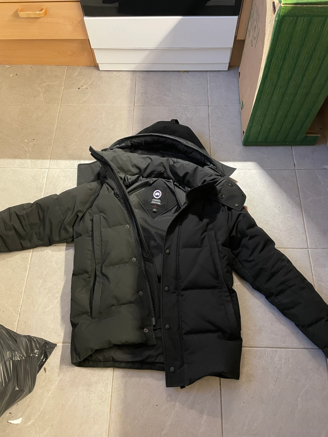 Canada goose - 90