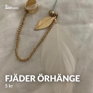 Örhänge  - Olika fjärder örhänge 