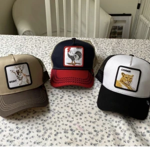 Snygga kepsar  - Alla är oanvända och i bra skick. Säljer för de 99 styck. Cougar kepsen är såld 