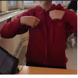 Acne hoodie  - Säljer denna superfina hoodien från acne! Den är inte alls sliten❤️ köpte för mer än 2000