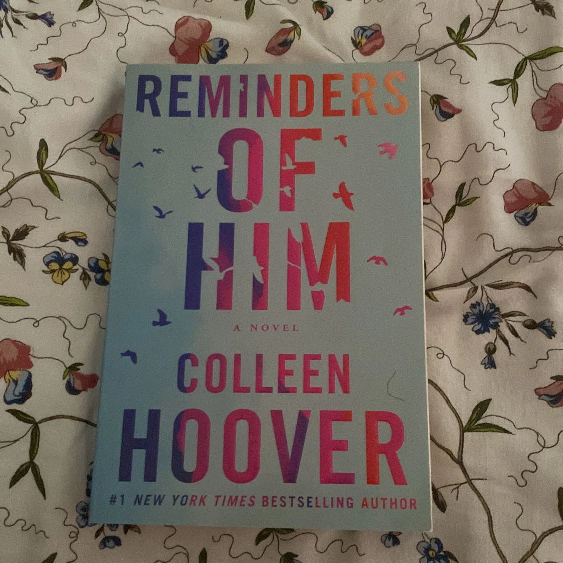 Reminders of him, Colleen Hoover
