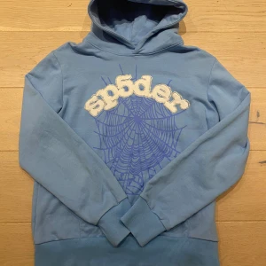 Sp5der Hoodie - Priset är ej hugget i sten
