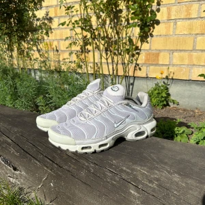 Nike Air Max Plus (TN) - Nike Air Max Plus, storlek 45, i bra skick med få tecken på användning (kanten vid tårna och lite på sulan). Skorna är sparsamt använda och aningen missfärgade. Säljer på grund av att de inte passar min stil. Hör av er vid frågor! Går ner i pris vid snabb affär! 