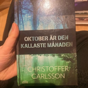 Oktober är den kallaste månaden - En spännande berättelse om 16-åriga Vega som dras in i ett mysterium kring sin bror och ett brott. Perfekt för dig som gillar nervkittlande historier, hemligheter och att utforska mörka sidor av livet på landsbygden.