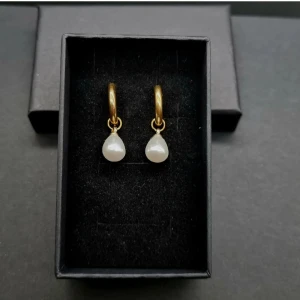 Handgjorda Örhängen  - Rostfritt stål med pärlor.  Längd-2,5cm 