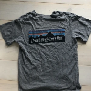 Grå Patagonia t-shirt med tryck - Snygg grå t-shirt från Patagonia med klassiskt logotryck i svart, blått och orange på ryggen och liten logga fram. T-shirten har rund hals och korta ärmar, perfekt för en chill och avslappnad stil.storlek M