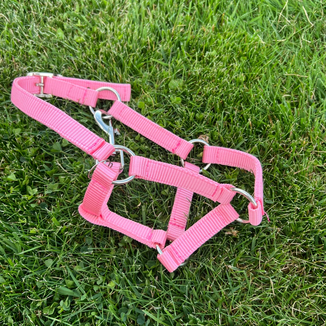 Två stycken rosa käpphästgrimmor.  - 2