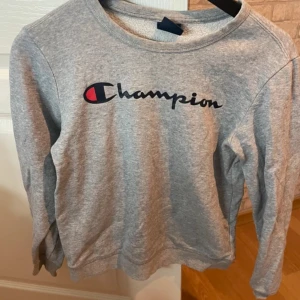 Grå sweatshirt från Champion - Grå sweatshirt från Champion med klassisk logga  över bröstet. 💗