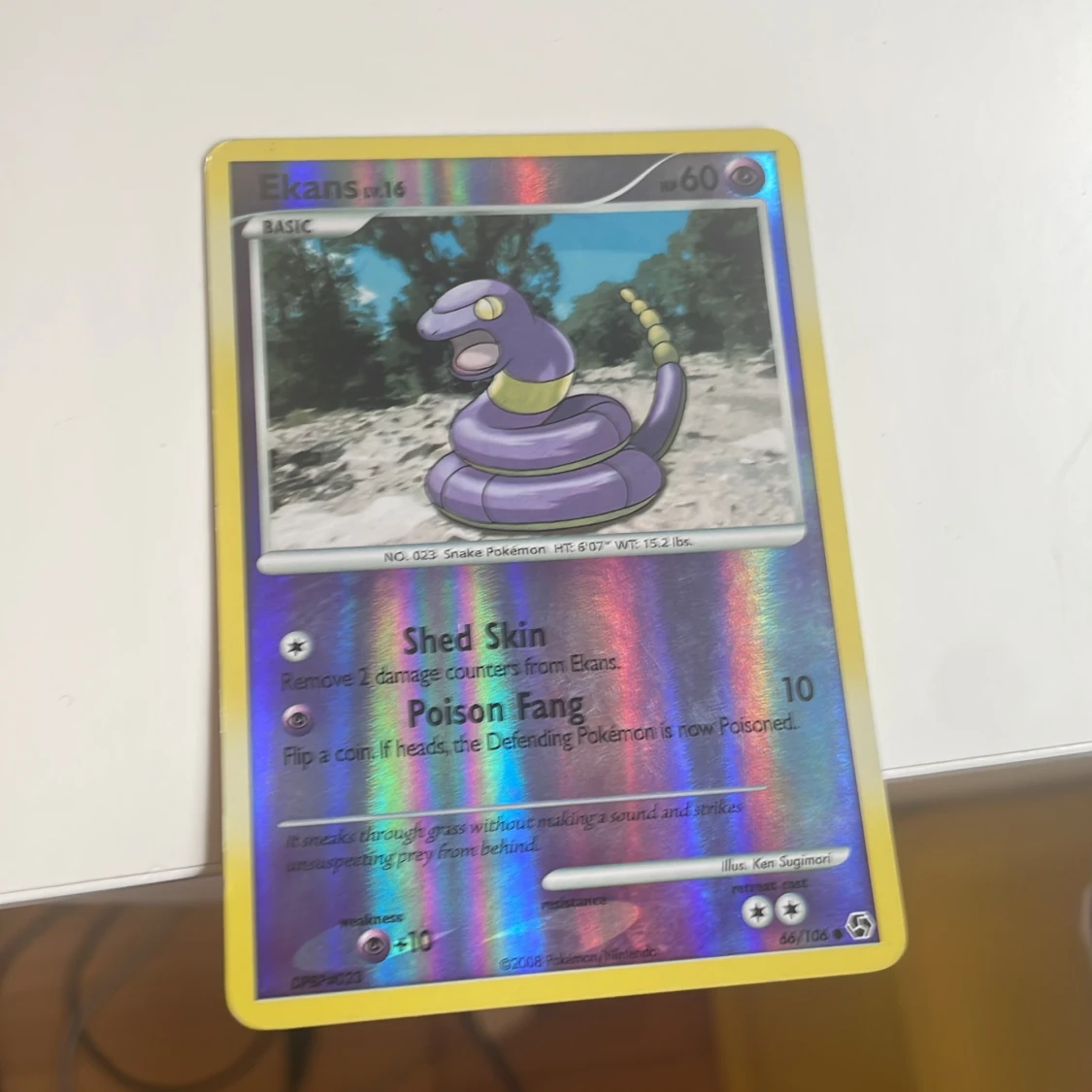 Ekans