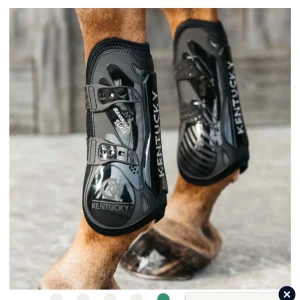 Kentucky Horsewear benskydd  - As snygga nästan helt oanvända benskydd från Kentucky, använd max 3 gånger. Stl M, nypris ca 1700kr mitt pris 1000kr
