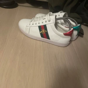 Gucci ace - Med box (ny skick på skorna)