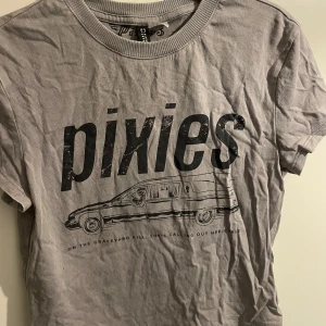 Grå Pixies t-shirt från H&M Divided - Snygg grå croppad t-shirt från H&M Divided med stort Pixies-tryck och motiv av en bil framtill. Klassisk rund halsringning och korta ärmar. Perfekt för dig som gillar bandmerch och vill ha en avslappnad stil.