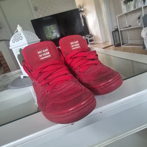 Säljer mina ETNIES - Använder inte. Använt typ 3 gånger