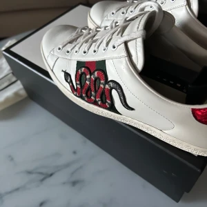 Gucci ace snake  - INTRESEKOLL på dessa feta Gucci ace snake, nästan allt og tillkommer förutom kvitto. Skicka prisförslag. Skriv om du har några frågor eller funderingar🙌🤝