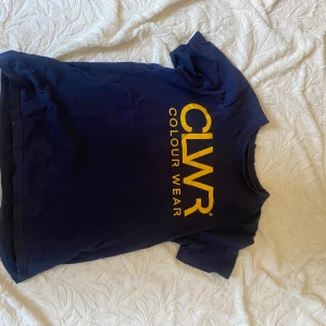 Blå t-shirt från Colour Wear - Säljer en snygg blå t-shirt från Colour Wear med stort gult tryck på framsidan. Perfekt för en avslappnad stil. T-shirten har en klassisk passform och korta ärmar.