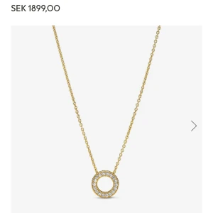 Guldhalsband med cirkelberlock från Pandora - Elegant guldhalsband med en cirkelberlock dekorerad med gnistrande stenar. Perfekt för att ge en touch av glamour till din outfit. Kedjan är tunn och smidig, vilket gör den bekväm att bära hela dagen.