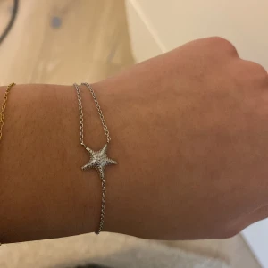 Silverarmband med sjöstjärna - Elegant silverarmband med en glittrig sjöstjärna som hänge. Armbandet har en tunn kedja och ett justerbart lås för perfekt passform. Perfekt för att lägga till en touch av havsinspirerad stil till din look. Detta är en gammal kollektion så sälj inte längre.