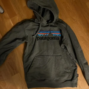 Patagonia - Super fin grå hoodie från patagonia storlek s!