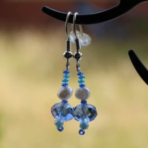 Blå pärlörhängen med vita detaljer - Säljer ett par superfina örhängen med blå och vita pärlor. De har en elegant design med små blå pärlor och större vita pärlor som ger en fin kontrast. Perfekta för både vardag och fest! 💙✨